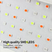 High Quality SMD LEDs