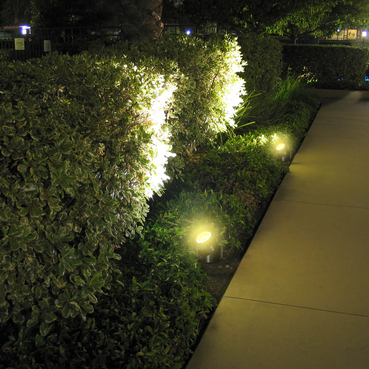 Super bright solar lights for trees