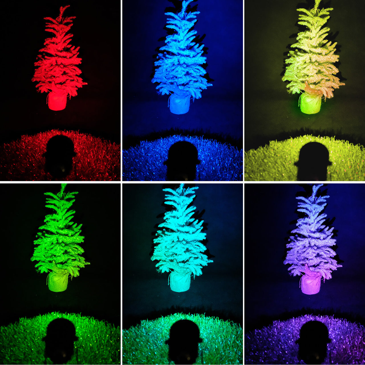 Colorful lights on display