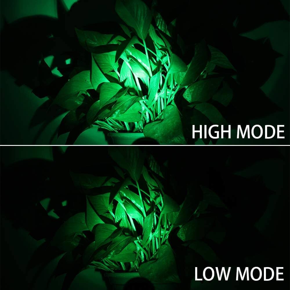 Green Solar Spot Lights With Separate Decor Lights | TSUN Outdoor