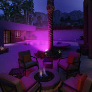 Purple spotlights illuminate the courtyard effect